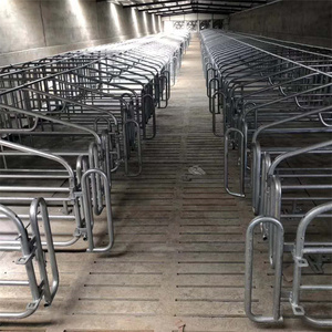 Gieo giao phối và mang thai thùng cho lợn - Product Image 2