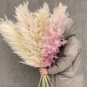 Pampas secas y esponjosas de Color blanco, grandes, flores, Pampus, decoración, césped - Product Image 6