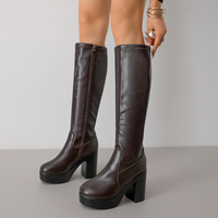Nouvelles bottes hautes pour femmes, avec sangle avant, fermeture éclair latérale, plateforme épaisse, talon haut robuste, bout rond