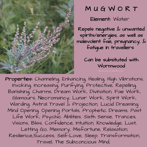 Wild Mugwort secchi sbavature foglie sfuse Custom Artemisia OEM Pack/bustine di tè per la purificazione bagno massaggio estratto di infusione di erbe - Product Image 3