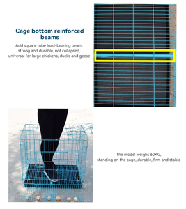 Chăn nuôi gia cầm nuôi trứng lồng kim loại gà lớp Lồng cho Gà Thịt lớp - Product Image 6