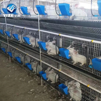 Cage à lapins en métal de haute qualité / Cage à lapins en aluminium construite au Kenya Ferme 18 portes Prix plus bas