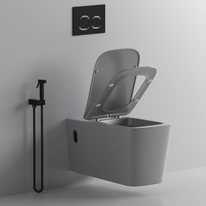 BTO Vente en gros articles sanitaires de luxe europe sans rebord couleur gris mat peu encombrant sanitario <span class=keywords><strong>WC</strong></span> suspendus muraux cuvette commode - Product Image 4