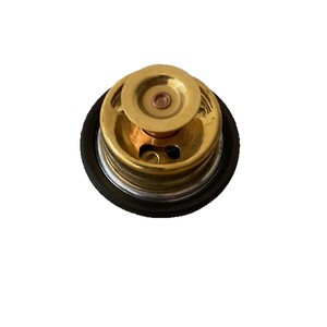 Termostato de Motor TMS 180F RE540550 para Tractor John Deere, Pieza de Repuesto - Product Image 4