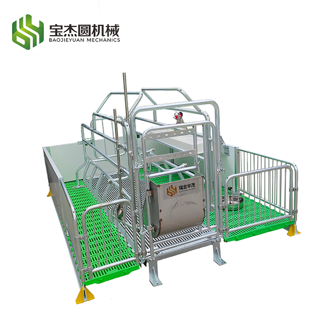 Pig Farm Swine Pen and Stall