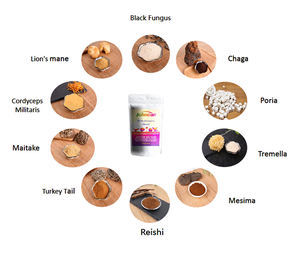 Здоровая добавка, суперпищевой порошок, 10 грибов, чистый комплексный экстракт - Product Image 3