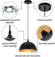Luminaire suspendu en fer de style industriel nordique avec LED à intensité variable 3500K, pour restaurant, bar, café