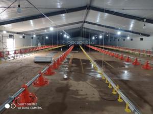 Galpones Avícolas Prefabricados de Metal con Ventilación para Pollos, Gallinas y Aves Ponedoras - Product Image 2