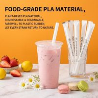 Pailles à boisson biodégradables en PLA de qualité alimentaire, écologiques, couleur personnalisée, pour bubble tea, jus et smoothies, vente en gros