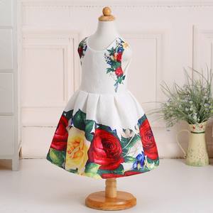 Nouvelle robe de fête pour filles, vêtements pour filles de style occidental, dernière collection premium - Product Image 4