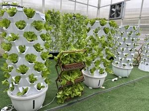 Производство и продажа пластиковых систем для беспочвенного выращивания растений методом гидропоники из ПВХ. - Product Image 4