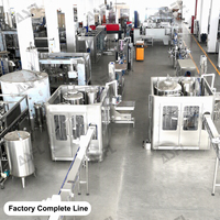 Machine de remplissage d'eau potable pure 6000BPH, fonctionnement facile, solution clé en main, formation d'ingénieurs sur site, certificat CE ISO9001