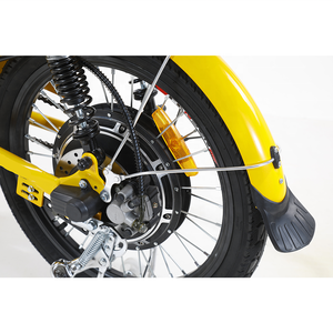 Vélo électrique à longue <span class=keywords><strong>distance</strong></span> de 100km, avec grand boîtier arrière, fabriqué en chine, livraison gratuite - Product Image 4
