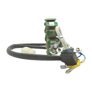 Bobine d'allumage de démarrage de <span class=keywords><strong>moto</strong></span> 11 pôles cg200 bobine refroidie par air bobine magnéto pour kwazaki - Product Image 5