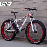 Nouveau Vélo de Montagne à Pneus Gras de 26 Pouces, Vélo à Pneus Gras pour Adultes, Vélo de Montagne MTB, Cadre en Acier, Suspension Avant, Freins à Disque Doubles