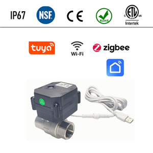 Válvula Motorizada Bidireccional IP67 WIFI Tuya Zigbee con Indicador, Latón SS304 UPVC DN15 DN20 DN25 DN32, Mini Válvula de Bola Motorizada - Product Image 2