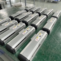 Module d'actionneur linéaire à vis à billes Pi, bras robotique linéaire à axe unique pour l'automatisation, le prélèvement, le placement, l'étiquetage et l'inspection