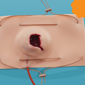 Maniquí de Gran Tamaño con Simulación de Heridas de Bala para Entrenamiento de Control de Hemorragias, Modelo de Enseñanza Médica, Simulación de Trauma - Product Image 3