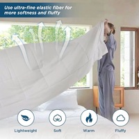 Échantillon gratuit Couette alternative Queen Size Couette blanche Couette douce Couette en microfibre Couette légère et respirante