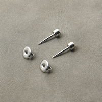 Staalkleur April Geboortesteen Dozijn Oren Piercing Oorknopjes Allergievrije Roestvrijstalen Piercing Sieraden Gebruiken In Piercer