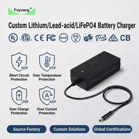 Cargador de Batería de Iones de Litio de 25.2V 2A 6S para Herramientas Eléctricas, Robot Aspirador, con Certificación Global
