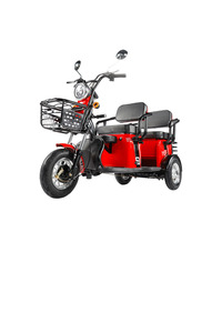 Motocicleta Triciclo Eléctrica de Carga Rápida de 3 Ruedas con Caja de 300 kg en Oferta - Product Image 2
