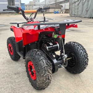 <span class=keywords><strong>Quad</strong></span> électrique tout-terrain 48V 1000W avec freins à disque avant et arrière, transmission par arbre – <span class=keywords><strong>Meilleur</strong></span> prix, Offre Spéciale - Product Image 6