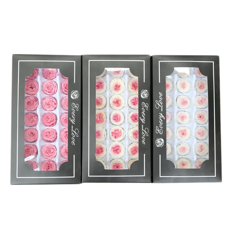 花のアレンジメントプロジェクトを作るための2-3cmの保存されたオースティンローズ1箱あたり21個ピンクのイングリッシュガーデンローズ