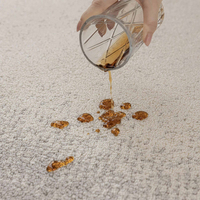 Tapis tissé à la machine en PET bouclé, résistant, imperméable et écologique pour salon, chambre, salle de bain, entrée