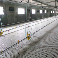 Conception de ferme avicole entièrement automatisée sur mesure pour poulets de chair et poules pondeuses