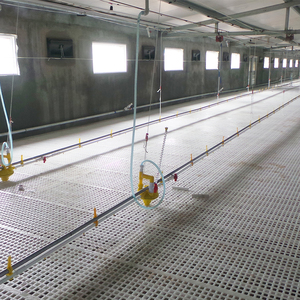 Conception de ferme avicole entièrement automatisée sur mesure pour poulets de chair et poules pondeuses - Product Image 5