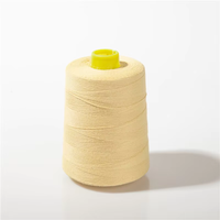 Dyable 1313 Meta Aramid Fil Ignifuge Meta Aramid Fil Filé Ignifuge pour Équipement de Sécurité