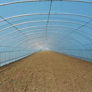 Preço de fornecedor na China, túnel tropical com efeito de estufa, horta para cultivo com sistema de irrigação