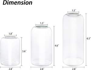 مزهريات زجاجية لامعة من البوروسيليكات عالية الجودة بتصميم أسطواني شفاف للزهور الطبيعية - Product Image 2