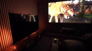 Versión global Fengmi Formovie T1 <span class=keywords><strong>4K</strong></span> Cine Proyector láser 2800 ANSI Lumens UST Home Theater Beamer Video MEMC 3000:1 Contraste - Product Image 3