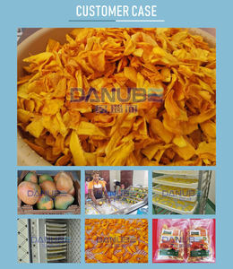 Máquina de secado de papaya con control inteligente de temperatura, equipo de secado de alta calidad para el procesamiento de fruta deshidratada - Product Image 6