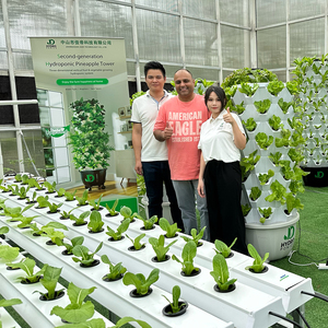 High Quality Pineapple Aeroponic <strong>Tower</strong> 48/64/80/96 <strong>Planting</strong> Holes Vertical Growing System with Pump - Product Image 5