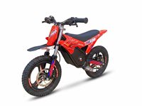 Moto électrique tout-terrain pour enfants DM-900 950W, 36V 7.8Ah, vitesse maximale 35 km/h, autonomie 30 km