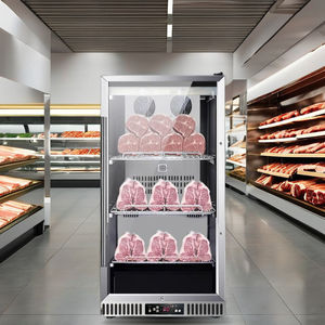 Nuova condizione di manzo armadietto di invecchiamento della carne essiccata <span class=keywords><strong>frigorifero</strong></span> di stagionatura con <span class=keywords><strong>motore</strong></span> a pompa per la vendita al dettaglio Hotel bistecca frigo di stagionatura - Product Image 3