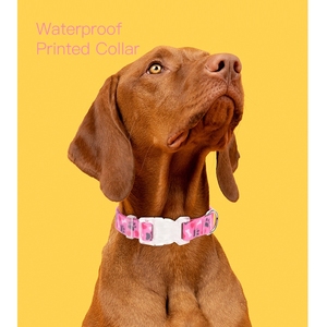 Collier pour chien de luxe et élégant personnalisable, revêtement en TPU durable et polyester imperméable avec impression de motifs personnalisés - Product Image 6