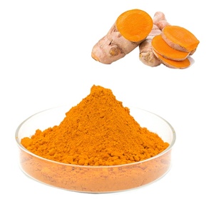 Suministro de Fábrica: Polvo de Cúrcuma Orgánica <span class=keywords><strong>Pura</strong></span> 95% Curcumina, Cúrcuma a Granel, Cápsulas de Curcumina - Product Image 2