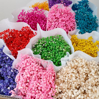 Bunga Gypsophila Kering Premium Grade untuk Kerajinan Bunga DIY, Dekorasi Pernikahan, dan Dekorasi Interior Rumah