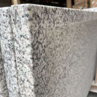 Granit de Comptoir de Cuisine Tigre Blanc Gris, Dalle Supérieure Neige Asiatique de Haute Qualité