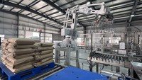 Palettiseur robotisé TELONG de haut niveau basé sur un PLC, robot collaboratif de palettisation pour sacs de 50 kg, entraînement pneumatique 380 V, 800-200 IP54, alimentaire