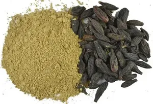 Polvo de Harad Natural Puro, Polvo de Haritaki Finamente Procesado para Uso Multipropósito, Producto de Calidad en Granel - Product Image 3