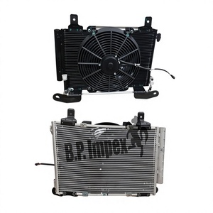 Condensador de Aire Acondicionado Completo OEM para TATA Xenon Indica Indigo Telcoline 2.2L, 289483400148 289483400151, Piezas de Refrigeración - Product Image 1