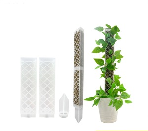 Supporto <span class=keywords><strong>per</strong></span> Piante Rampicanti, Palo in Plastica Impilabile con Muschio, Confezione da 2 Pezzi con Fronte Piatto e Sistema di Auto-Irrigazione <span class=keywords><strong>per</strong></span> Casa e Giardino - Product Image 6