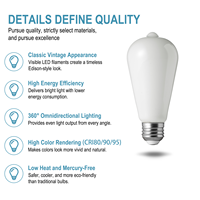 Ampoule LED à filament de verre E26 E27 ST19 ST58 à CRI 90, décorative et efficace, pour l'éclairage domestique, hôtelier et commercial