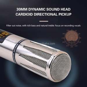 TNH UM- E68 Karoke Mic Universal U-Segment Drahtlose Mikrofon familie KTV Singing Audio Hand mikrofon für den Gesangs unterricht - Product Image 2