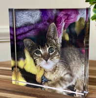 Bloc photo personnalisé en acrylique transparent écologique avec motif floral, impression UV personnalisée, cadre photo familial sans cadre pour bureau